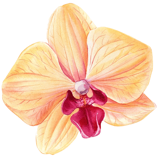 Individual-Therapy-1 (1)